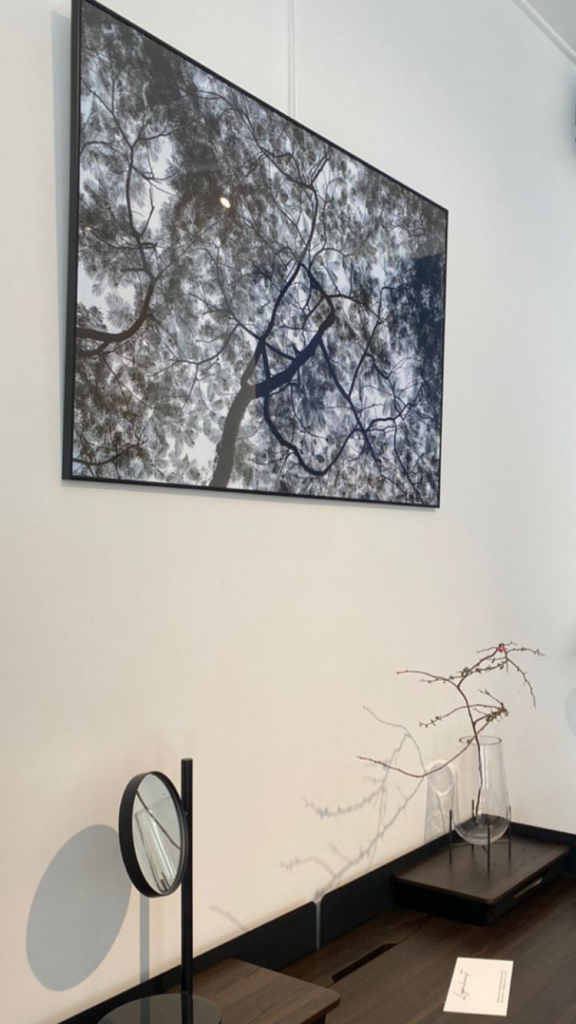 Фото-картина Под одним небом / Under  the same sky