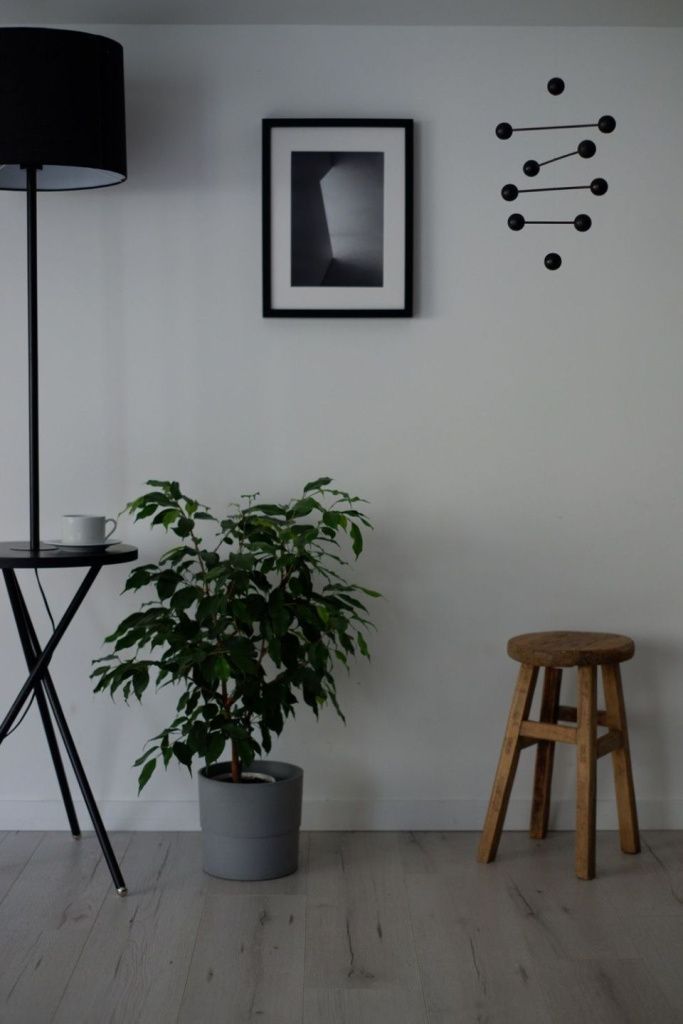 Черная смородина Интерьерный мобиль