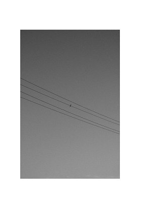 Авторская фотография "***"