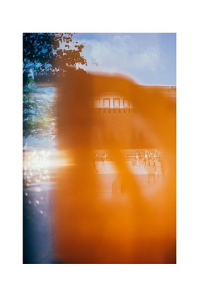 Авторская фотография «Золото ветра», 2020