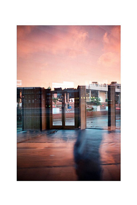 Авторская фотография «После дождя», 2019