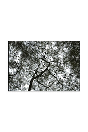 Фото-картина Под одним небом / Under  the same sky